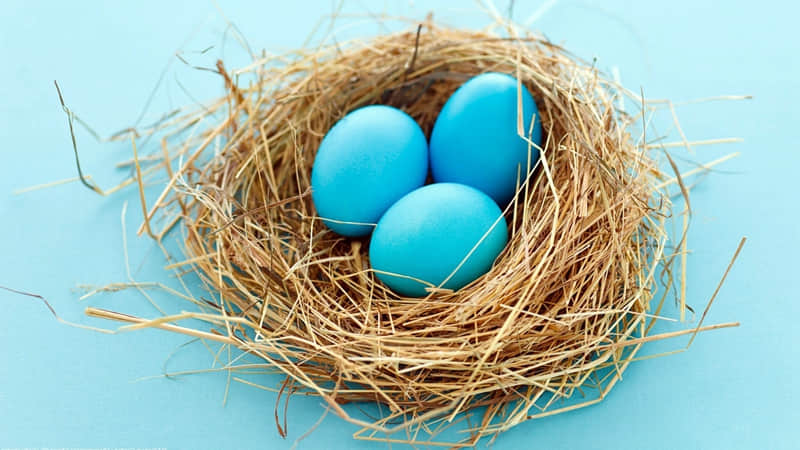 ������Ů�ˣ��Ӳ�����չʾ�Լ��ĸ�����