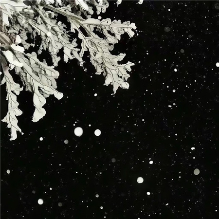 �ܸ߼����˸�������������(��ѡ100��)