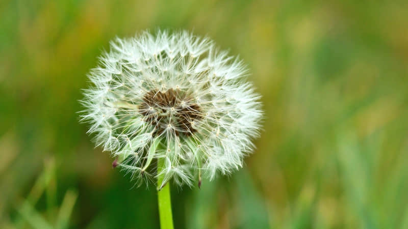 ��Խ��Խ��ϲ�ĵ���С����̫�����ˡ���