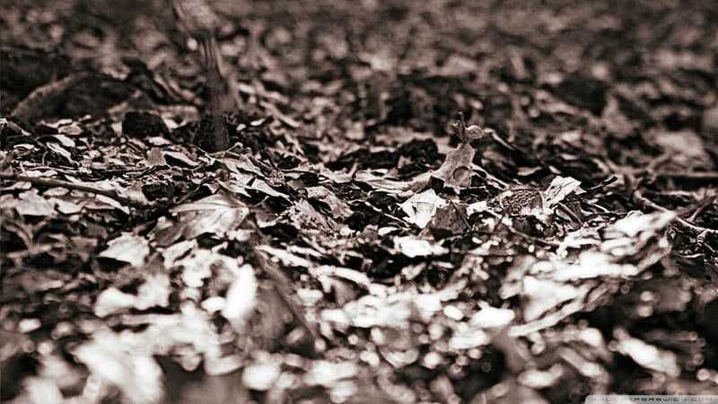 ��Ů�˻����������˻��Ʈ��