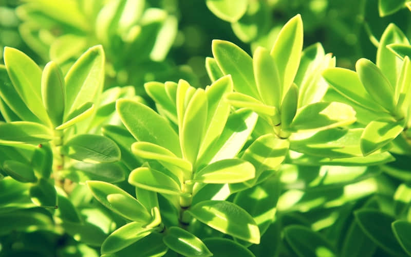 �����˶������飬һ�㲻����㡮���š������ǻ���⼸���ƺ�����