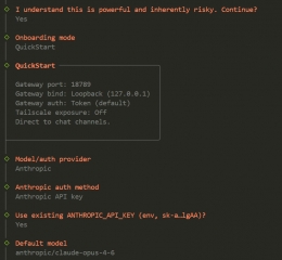 Windows������ôʹ��OpenClaw�ٷ���װ�ű���һ����װ����