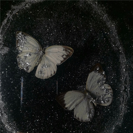 �˸���������ͼ�Ĵ�ȫ(��ѡ100��)