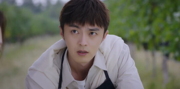 ���ǵĹ����13���������