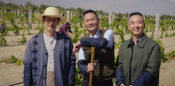 ���ǵĹ����25���������