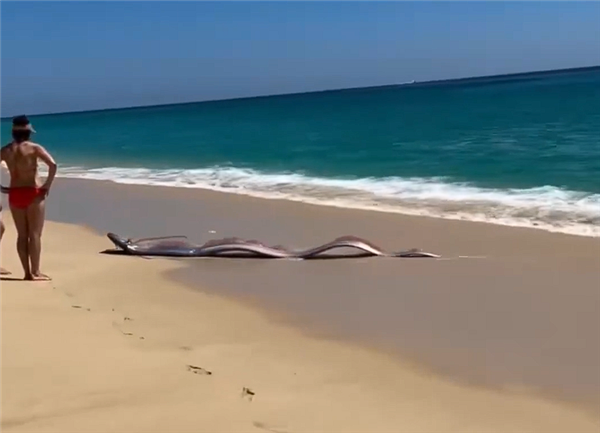 ��ĩ���㡱����ī���纣̲ �����Ȼ�������ʩ��