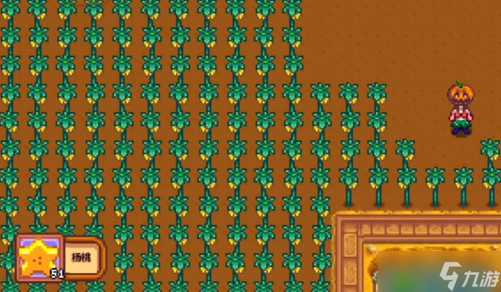 ��¶�����������ô׬Ǯ