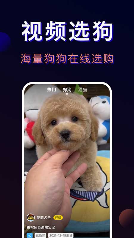 ���ｻ��ƽ̨�Ƽ�