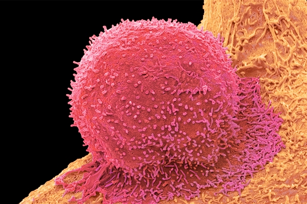 ��������η��� ίԱ����13�ֽ���