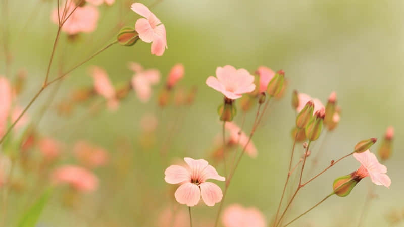 ???Ԫ��������һ��???????????????����Ȧ??