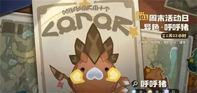 ������������������ô��