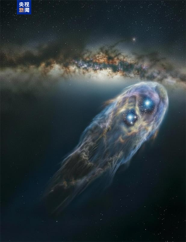 ����˫��̥����ü���������й�����ѧ�ҷ�������ϵ���ǵ�����֤��