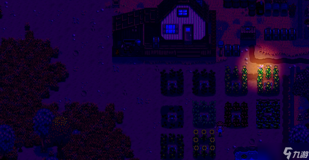 ��¶�������ҹ��Ů��ʲô��