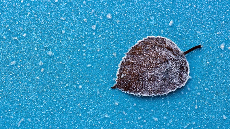 ���ϰ���������Ц������Ȧ��