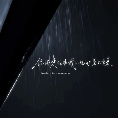 �˸кͺ޵���������(��ѡ100��)