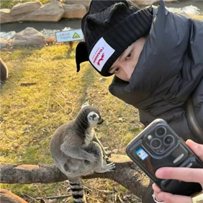 ���ٺ�������ȫ��������(��ѡ100��)