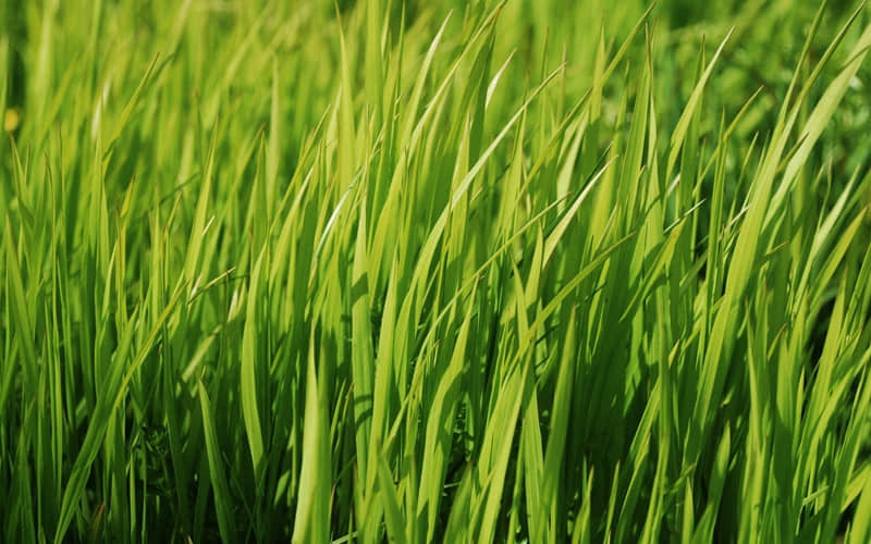 ��������Ե�ֺ����8�ֱ��֡�