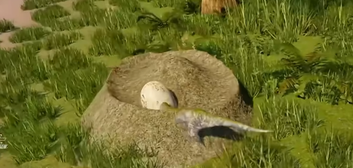 ����������Դ�������ﵰ���Է���