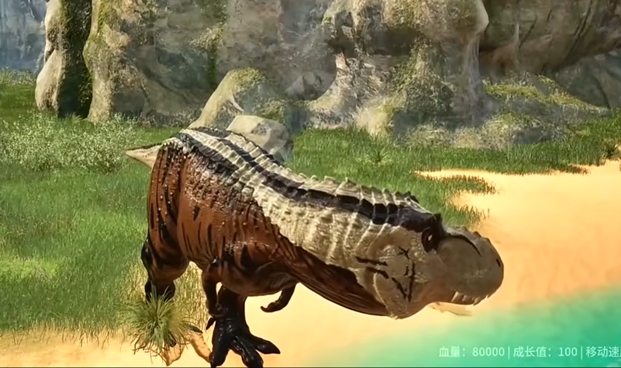 ����������Դ����������ʲô