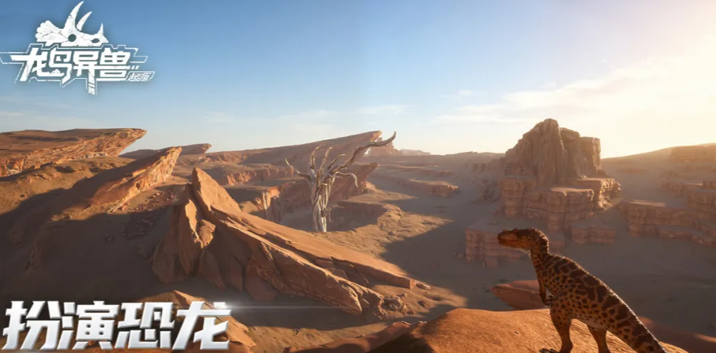 ����������Դ��������