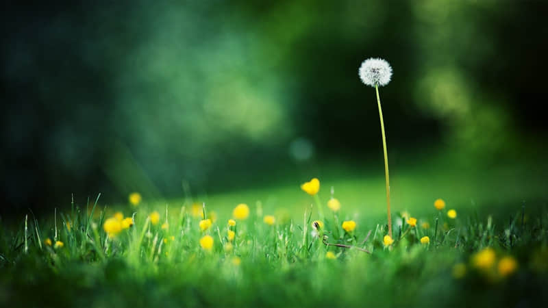 �����������ˣ��߼�һ����ô˵??��