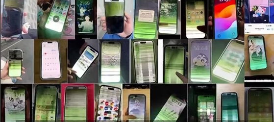 iPhone15��16�����������ۺ� �м���Ѷ�ƻ�����������������