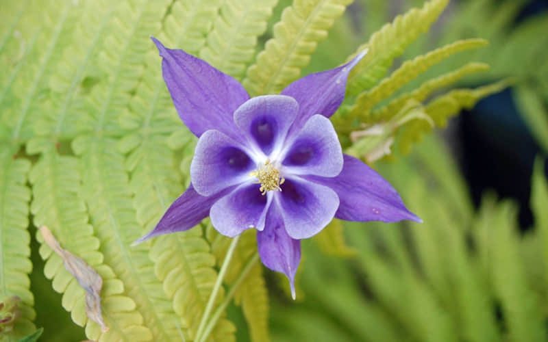 ���������ˡ���Ҫֱ��˵��������Ů�������á�