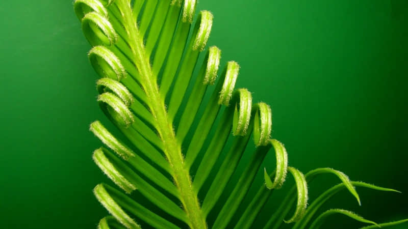 ��?????? ???????????��Ͱ�??��?��?Ȧ?�İ�����̫�в���?��??  ��