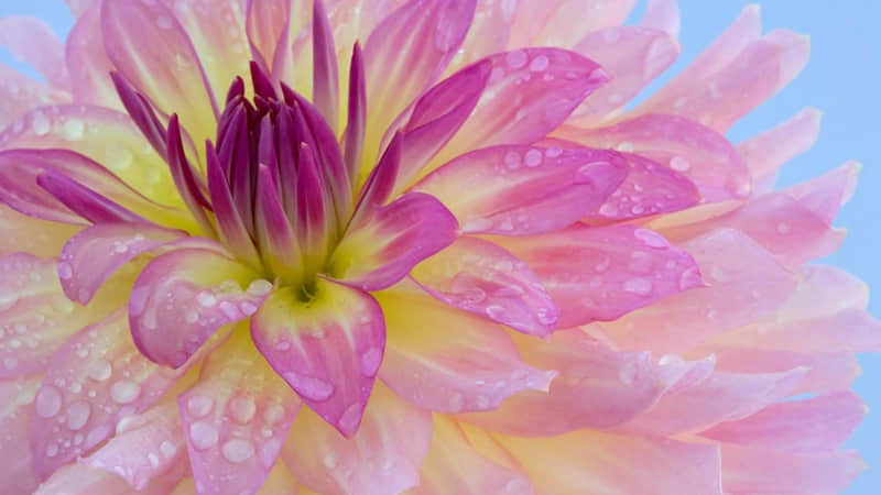 "���İ���һ��͹��ˣ�����"??