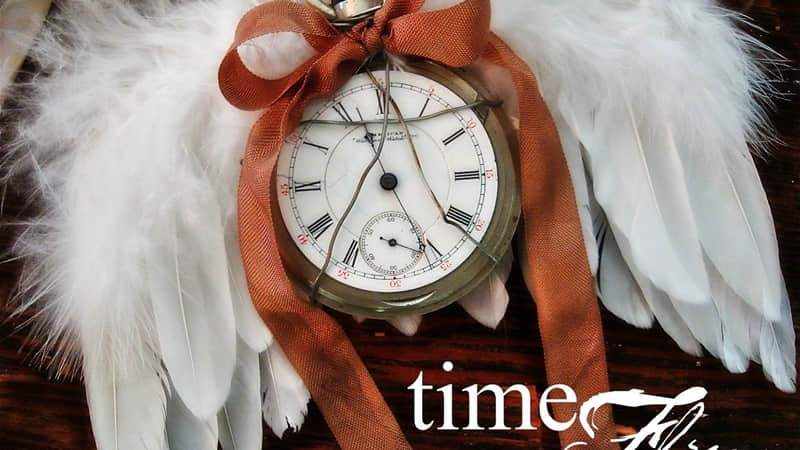 ��˭��������12���İ���Ȧ���ޡ�