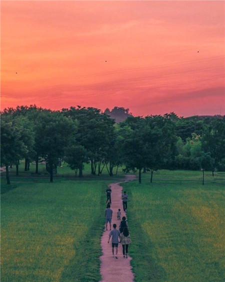 ������������ɳ��������(��ѡ100��)