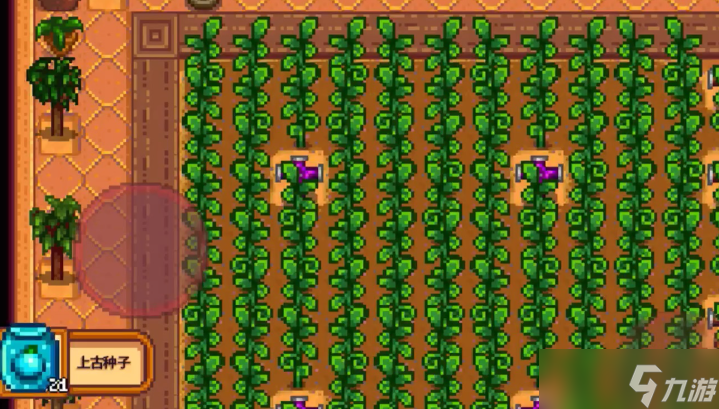 ��¶������ʲô��������