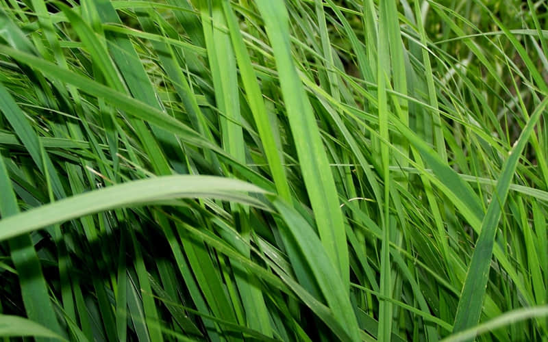 �������ת��һ��Ц�硱??