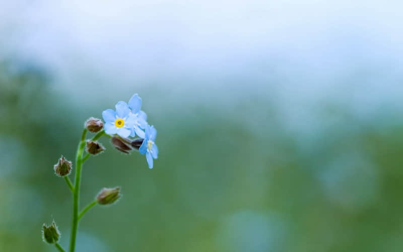 �����ϣ��뷢һ����һ��������Ȧ����