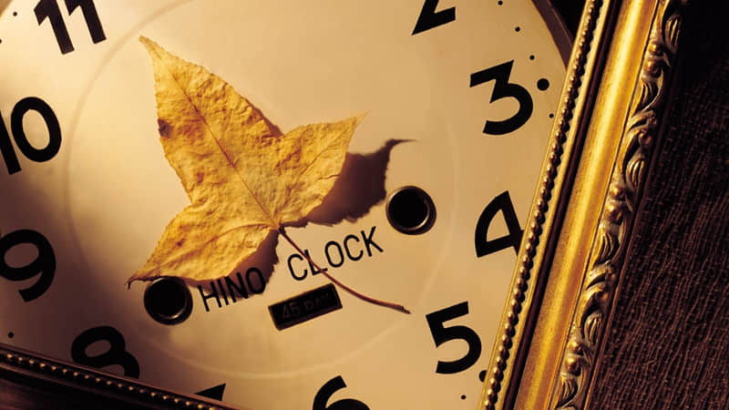 ���㿪���ԣ��������ޡ�