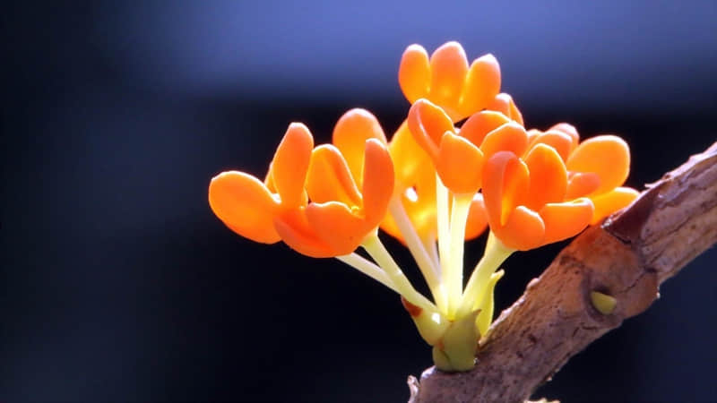 �����̲���ô����ȥЦ���������Ȧ��