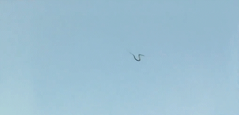 ��Ū������������������� ��Ȼ����˵���̬��������֮һ