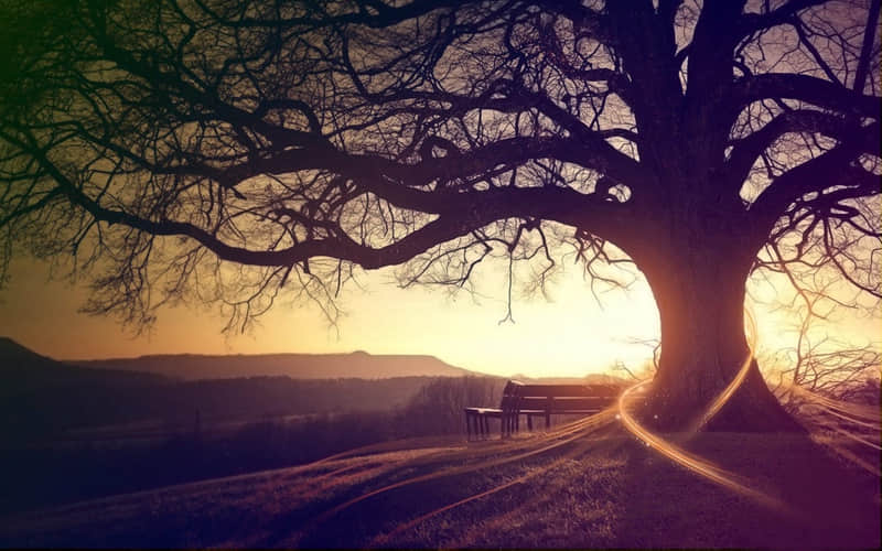 ����ƾ���Ϳ��Ʒ��ľ��ӡ�