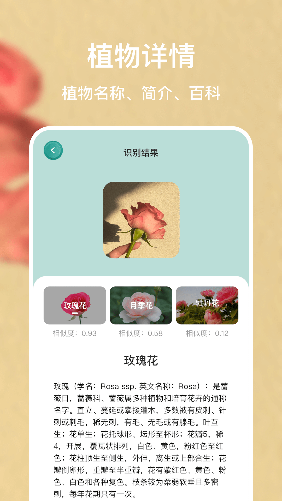 �в�ҩ����ʶ��APP�Ƽ������õ���ҩ��ͼ��ʶ����������