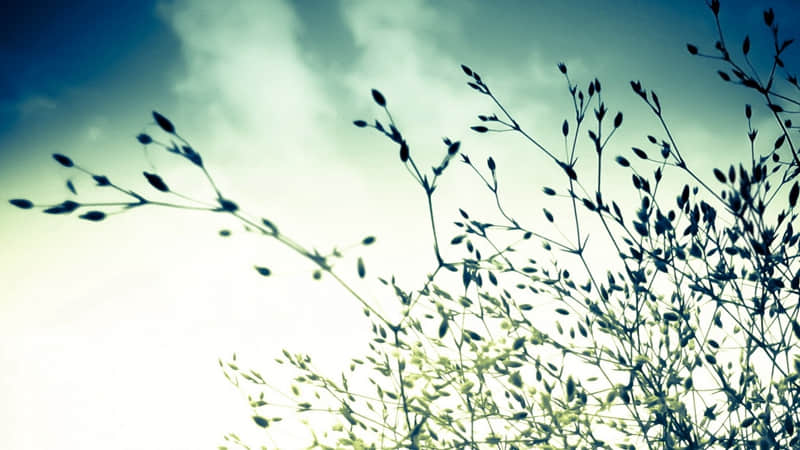 ��������æʱ������ô�ã���Ҫ�����㡱??