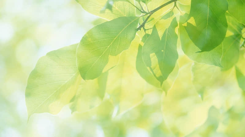 ����ûǮ�ˣ���Ĭһ����ô˵?��