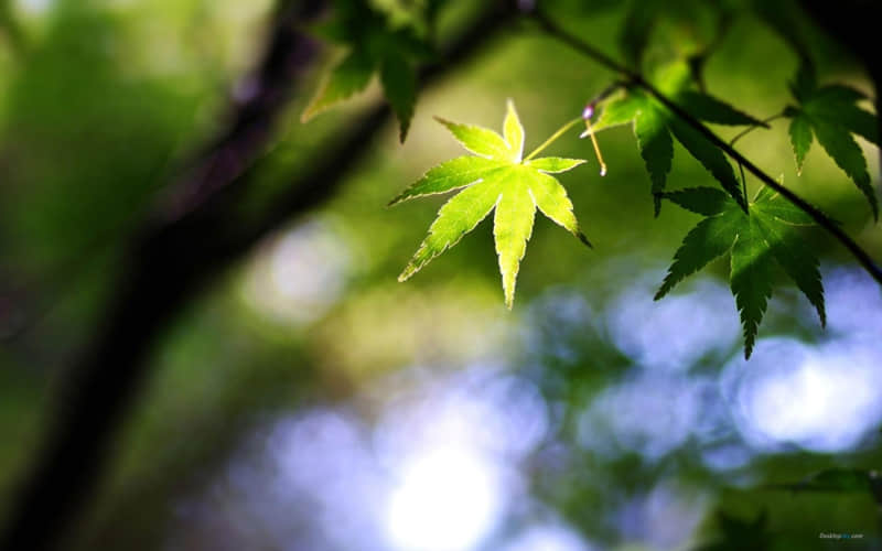 ��һ��ݻ�����ĳ��˲�����Σ�̫�ио���~��