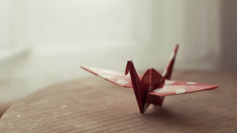 ''���Ӳ������㲻����''