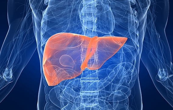 20��Ů���ݵ�Ƥ���ǲ��֬���� ������������