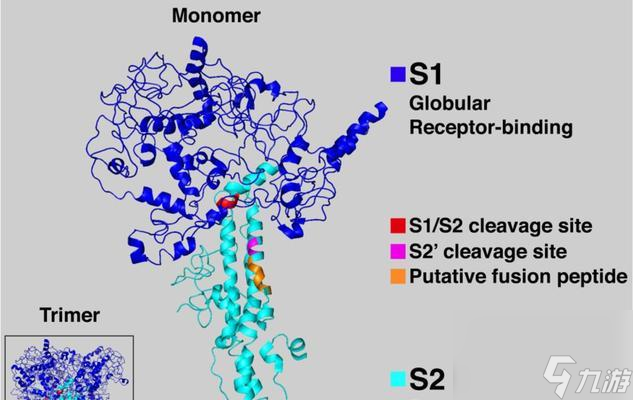 ��ս��ɫս������������ʲô ������к�Ч��