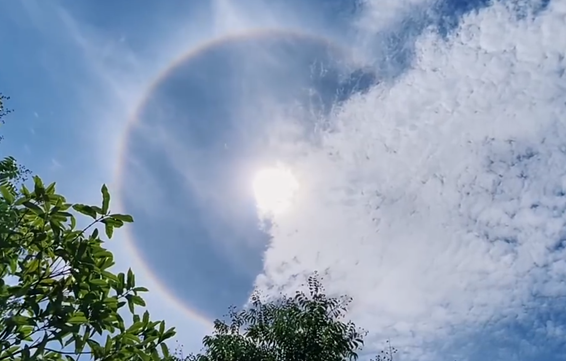 ҽ������������ɹ̫���������� �������ƻ�������