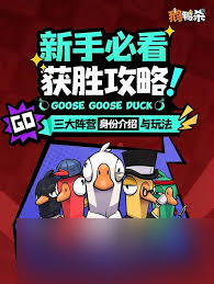 ��Ѽɱ������Ӫ�������淨��ʲô