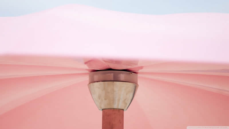 �����ѵ�Ů�ˣ�����Ȧ������~��