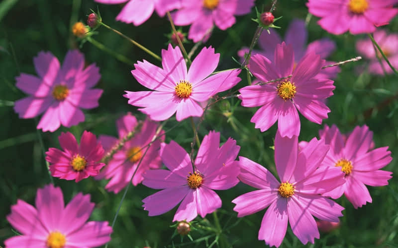 ��һ�仰����ĳ�˷Ų����㡱