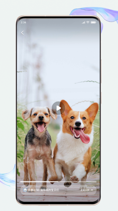 ����������ƵAPP����
